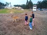 http://www.jpf.de/ahlden/pictures/dcp00034.jpg