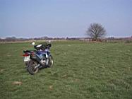 moped-1a.jpg